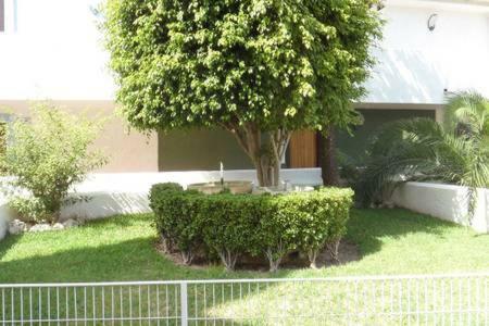Apartamento El Barco Benidorm Exterior foto